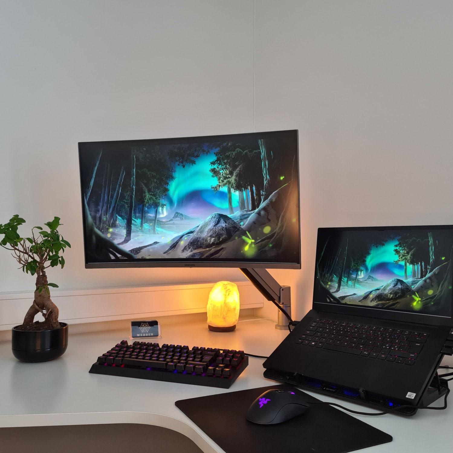 Complete office setup with Razer gear