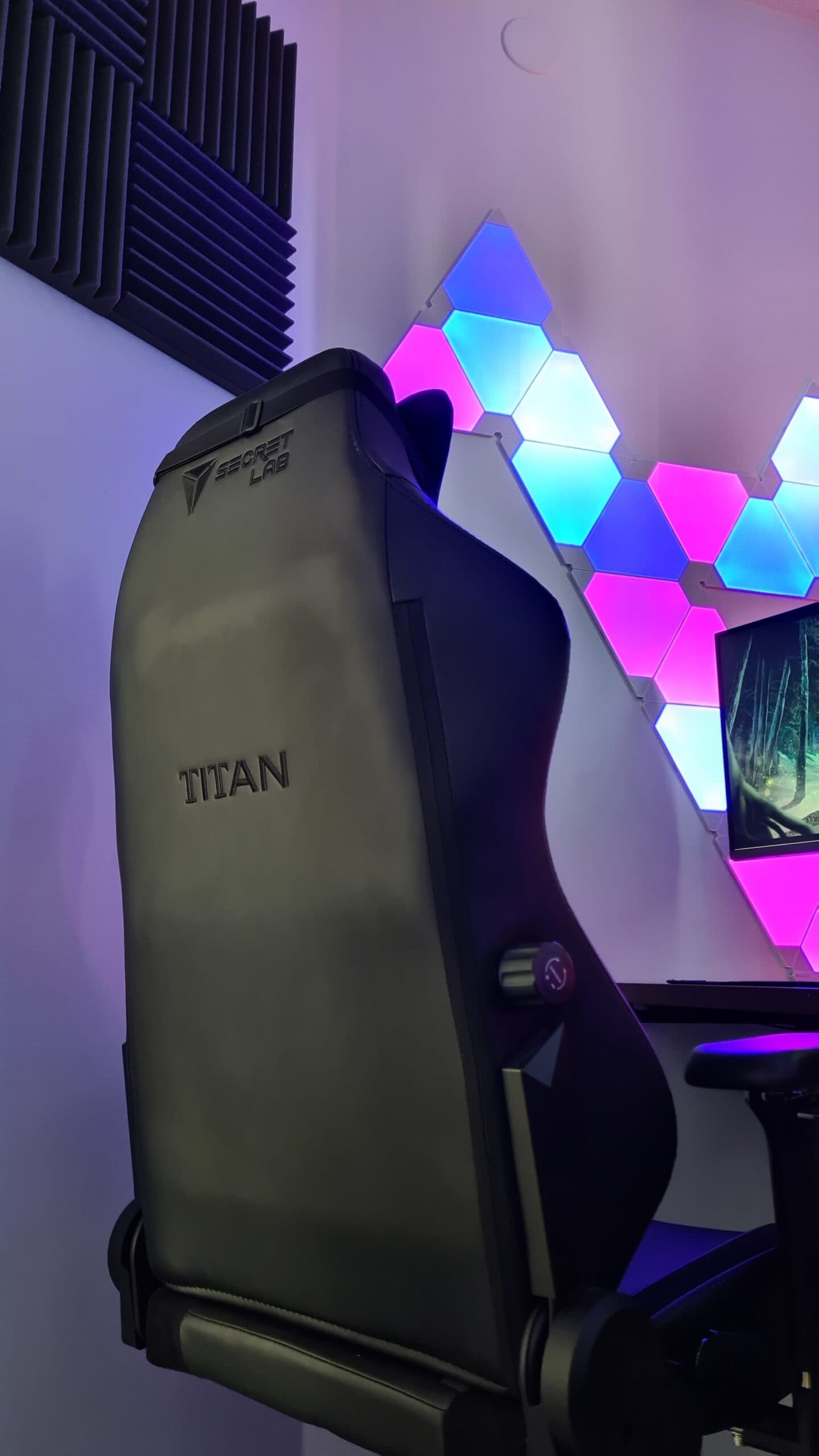Secretlab Titan gaming chair backside