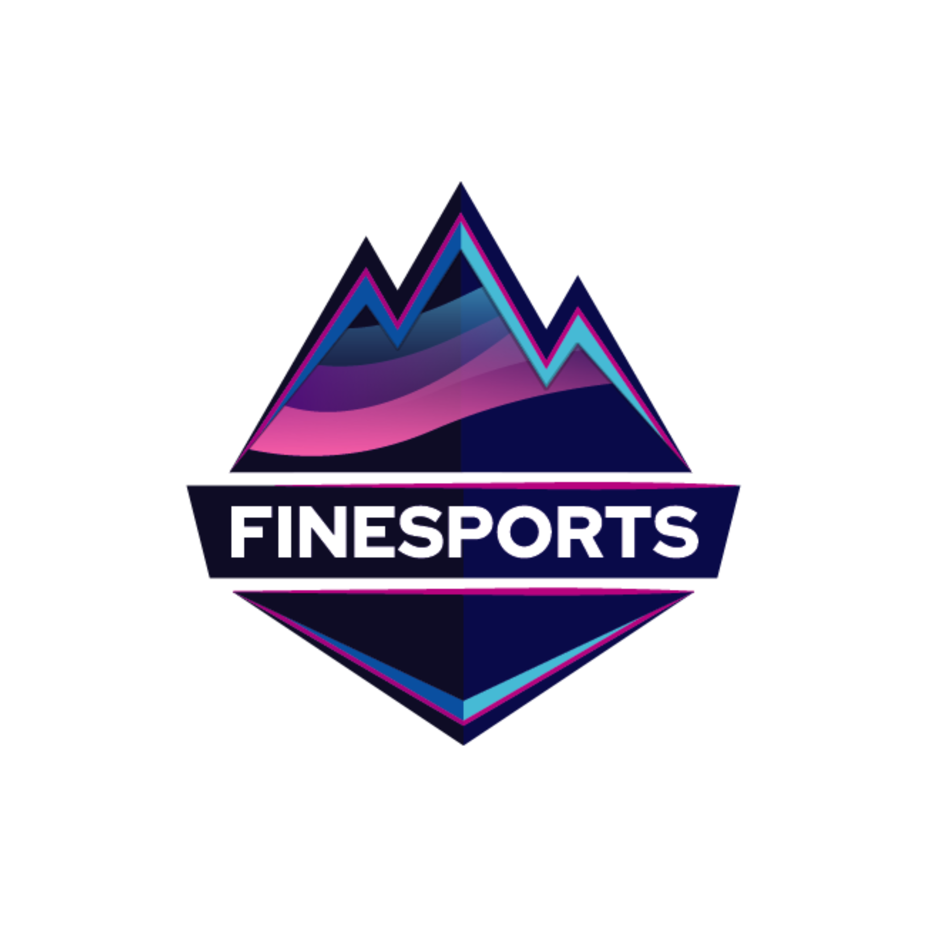 Finesports - Organization